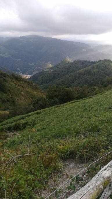 Encanto Asturiano Aller Ngoại thất bức ảnh